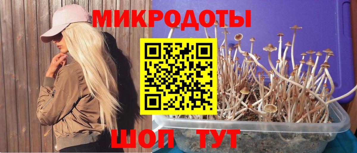 Галлюциногенные грибы ЛСД Мурино